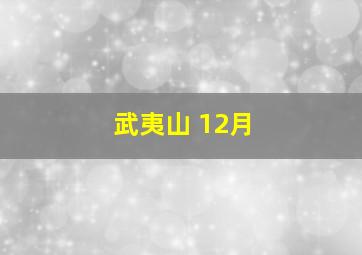 武夷山 12月